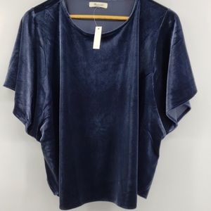 Madewell Velvet Butterfly Sleeve Top.
